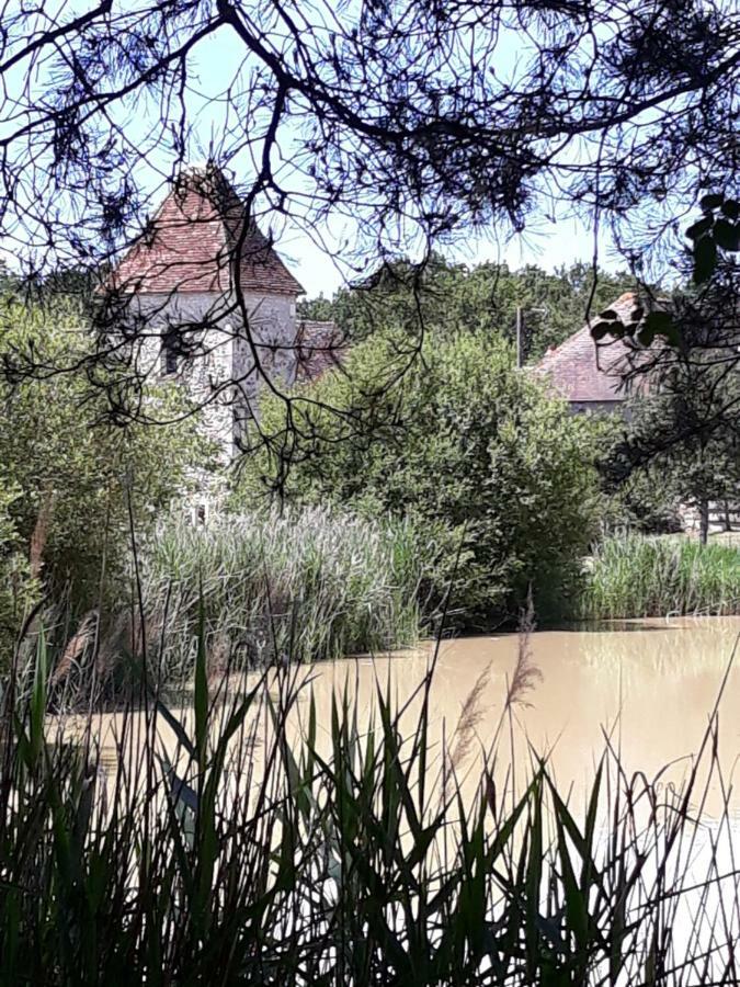 Отель Le Manoir De Pierre Levee, The Originals Collection Tournon-Saint-Martin Экстерьер фото