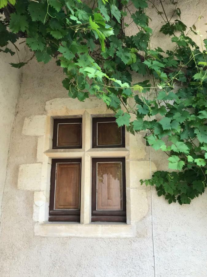 Отель Le Manoir De Pierre Levee, The Originals Collection Tournon-Saint-Martin Экстерьер фото
