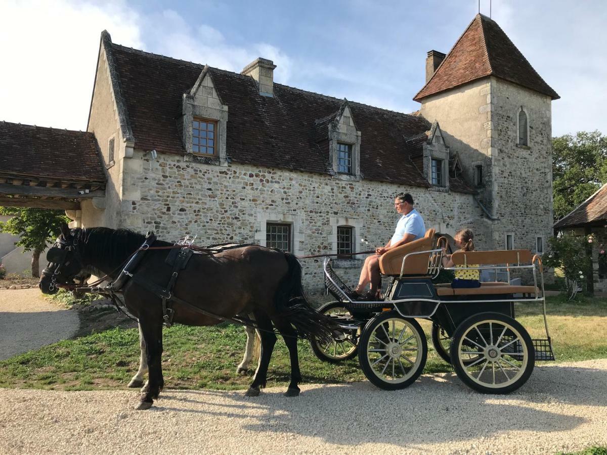 Отель Le Manoir De Pierre Levee, The Originals Collection Tournon-Saint-Martin Экстерьер фото